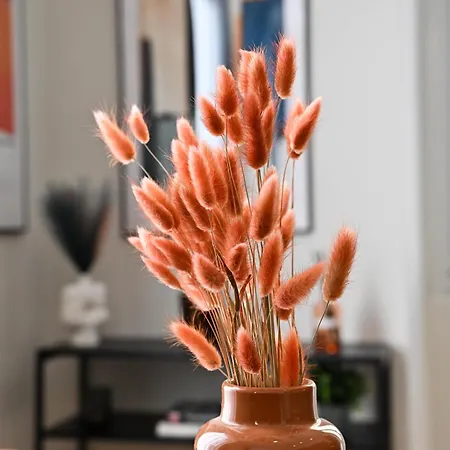 Appartement Appia Luxury